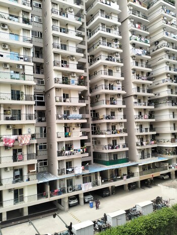 Windsor Paradise 2