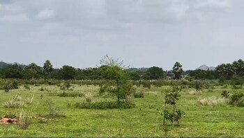 Plot for Sale in Srisailam Town, Srisailam