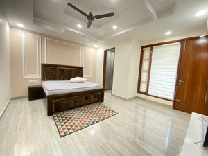 1 BHK Apartment For Rent in Mehrauli