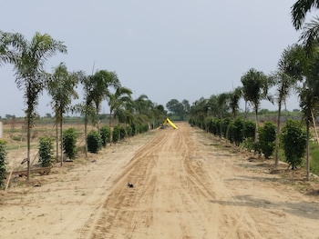 Plot for Sale in Pilkhuwa, Hapur