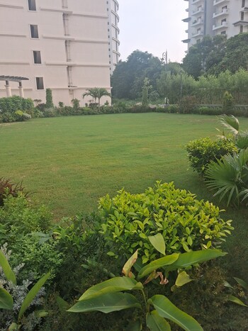 3 BHK Builder Floor for Sale in Sector 59, Gurgaon