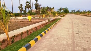 Plot for Sale in Pamarru, Vijayawada