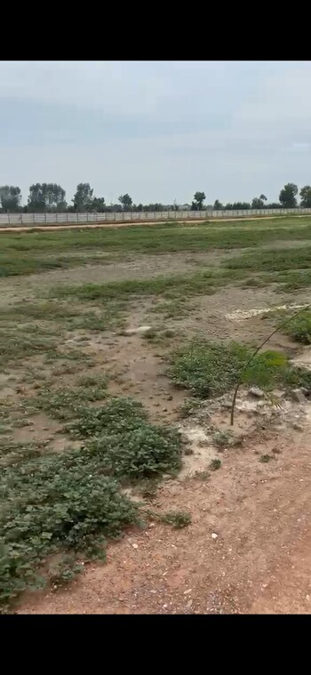 Plot for Sale in Chhata, Vrindavan