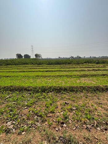 Plot for Sale in Sanand, Ahmedabad