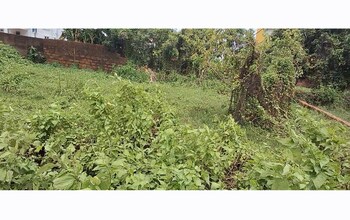 Plot for Sale in Raghunathpur, Bhubaneswar
