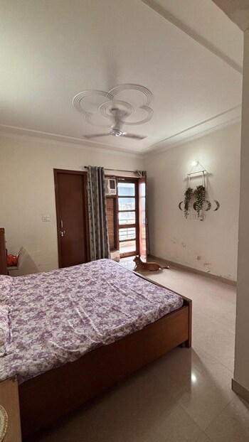 1 BHK Builder Floor for Rent in Saket, Delhi