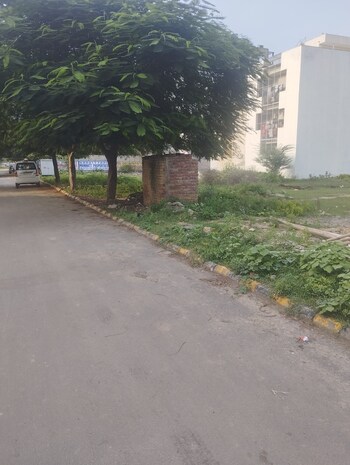Parklands