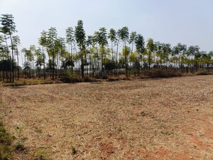  Plot For Sale in Yelahanka