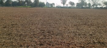Plot for Rent in Doddaballapura, Bangalore