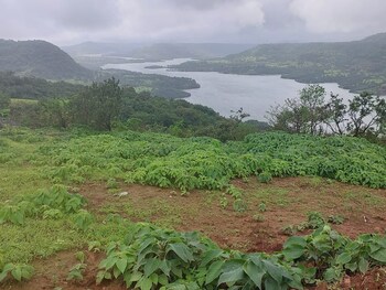 Plot for Sale in Bhor, Pune
