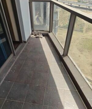 Balcony in 3 BHK Apartment at Paras Dews, Sector 106 – for Rent