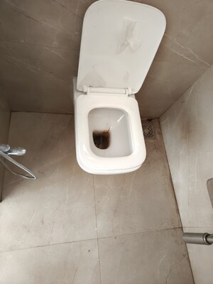 Bathroom in 3 BHK Apartment at Moreshwar 19 East, Nerul – for Rent