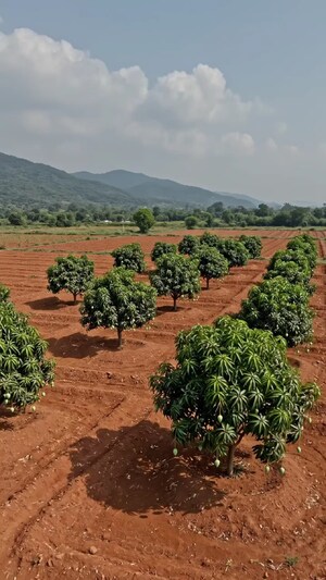 Plot – Garden View at Surampalli - for Sale