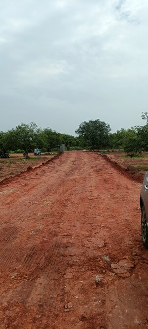 Plot For Sale in Surampalli