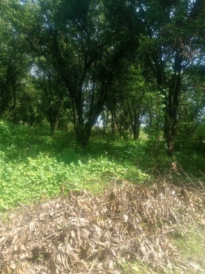  Land For Sale in Murbad Karjat Road