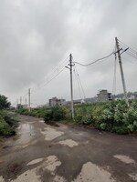 236 Sq.Yd. Plot in Sector 25