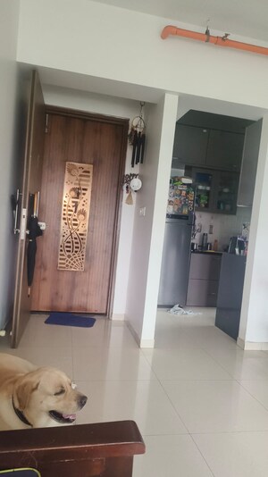 3 BHK Apartment For Rent in Kalpataru Immensa, Kolshet Road