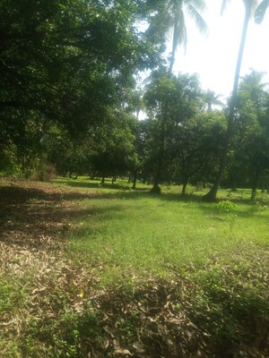  Land For Sale in Karjat Futura, Karjat