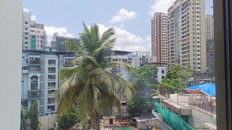 1 BHK Apartment For Rent in Shram Safalya Apartment Panch Pakhadi in Panch Pakhadi, Thane