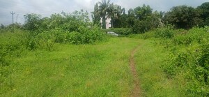  Land For Sale in Midc East