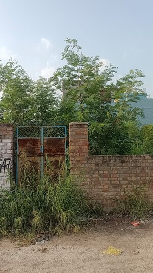 Plot Area in  Plot at Shyam Vihar – for Sale