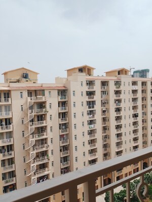 3.5 BHK Apartment For Rent in Emaar Palm Hills, Sector 77