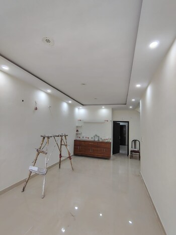 Raglan Gulmohar Trends