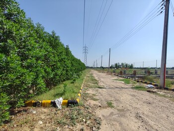 Jubilee Golfvista