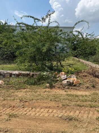 Plot for Sale in Jagatpura, Jaipur