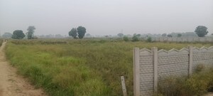  Plot For Sale in BPTP Parkland, Sector 75
