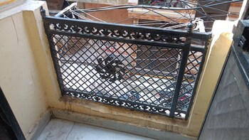 1 BHK Builder Floor for Rent in Vaishali Sector 3, Ghaziabad