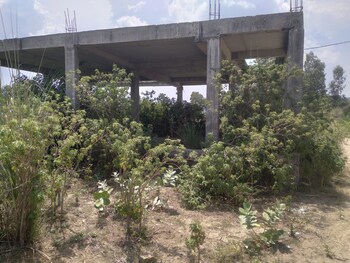 Arsha Madhav Greens