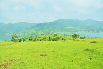 Plot for Sale in Jambhali, Pune