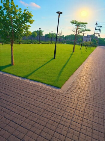 Apollo Golf Links