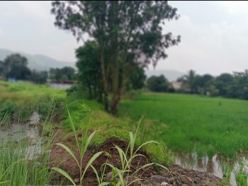 Plot for Sale in Mulshi, Pune