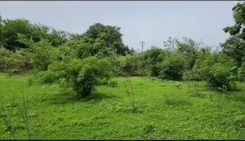 Land for Sale in Shrivardhan, Raigad