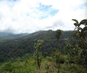  Plot – Garden View at Madikeri - for Sale