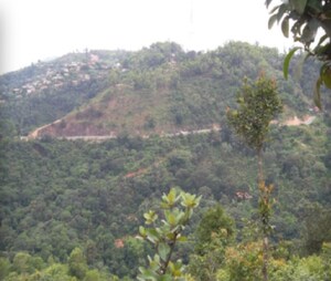  Plot For Sale in Madikeri