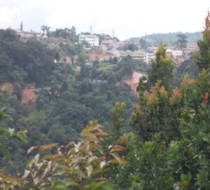  Plot – Garden View at Madikeri - for Sale