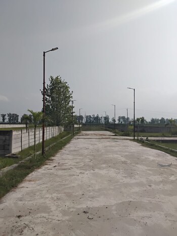 Plot for Sale in Didauli, Amroha