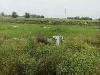 Plot for Sale in Sector 28 Yamuna Expressway, Greater Noida