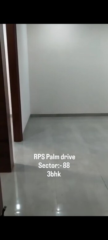 RPS Palm Drive