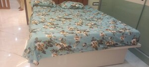 Bedroom in 3 BHK Apartment at Western Exotica, Kondapur – for Rent