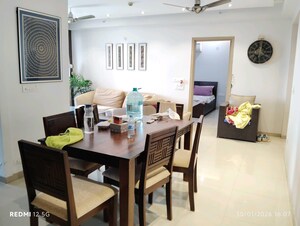 Team Area in 1 BHK Builder Floor at Sector 23 – for Rent