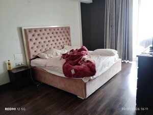 1 BHK Builder Floor For Rent in Sector 23