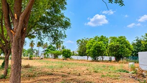 Plot Area in  Land at Lakkapuram – for Rent