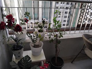 Balcony in 2 BHK Apartment at Piramal Vaikunth, Balkum Pada – for Sale
