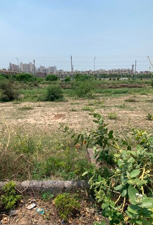  Plot For Sale in Sector 76