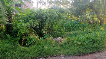 Plot for Sale in Kolkatta Gpo, Kolkata