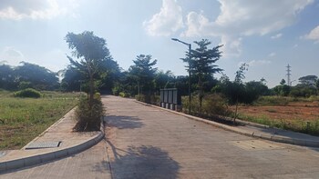 Brigade Oasis